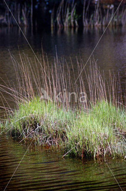 Killarney National Park