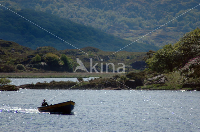 Killarney National Park