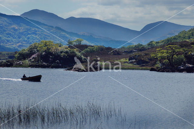 Killarney National Park