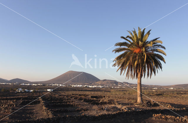 Lanzarote