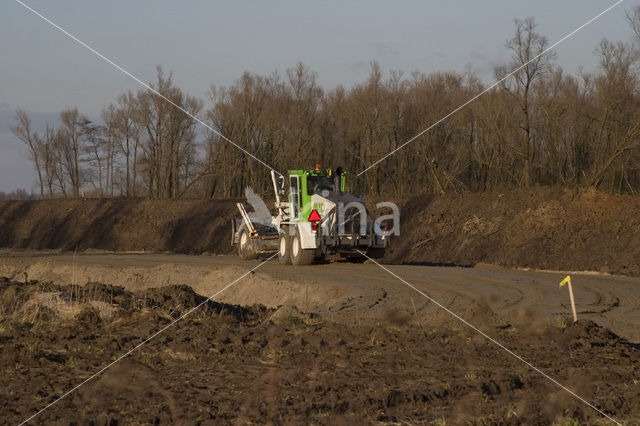 National Park de Biesbosch