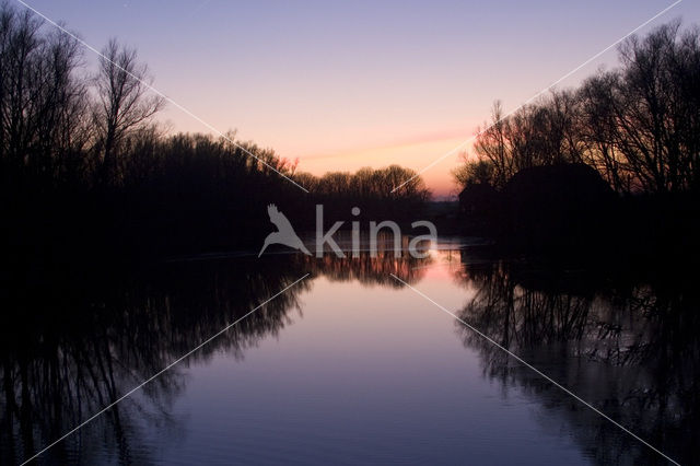 National Park de Biesbosch