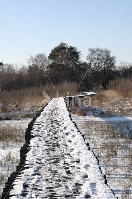 Nationaal Park de Groote Peel