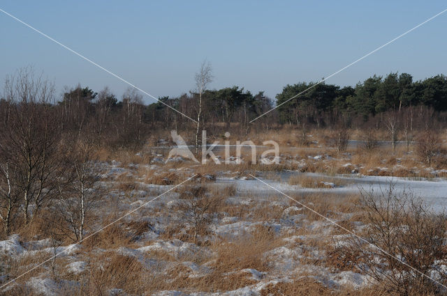 National Park de Groote Peel