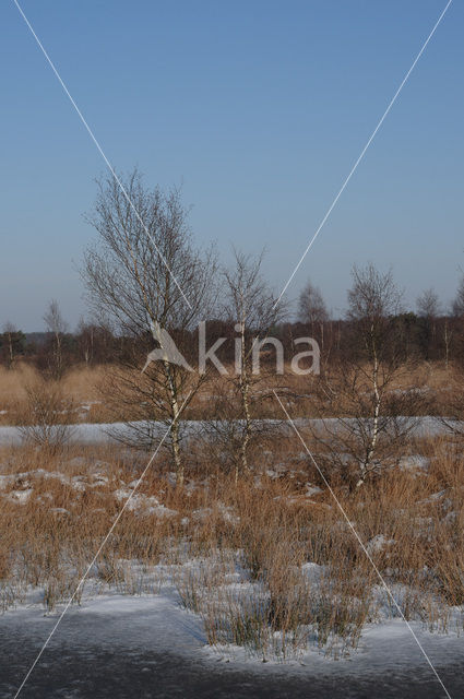 National Park de Groote Peel