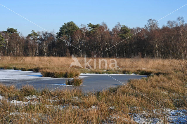 Nationaal Park de Groote Peel