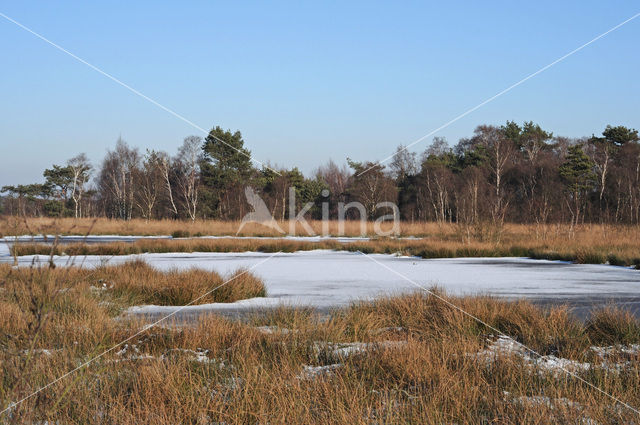 Nationaal Park de Groote Peel