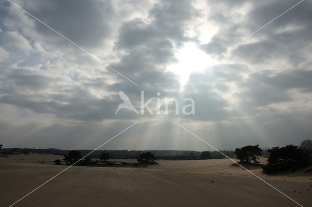 National Park Drents-Friese Wold