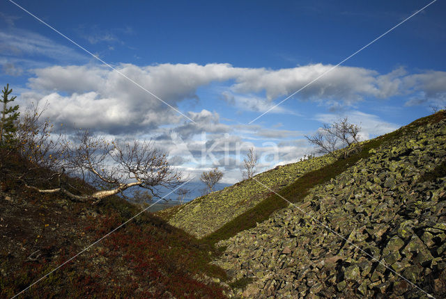 Fulufjället National Park