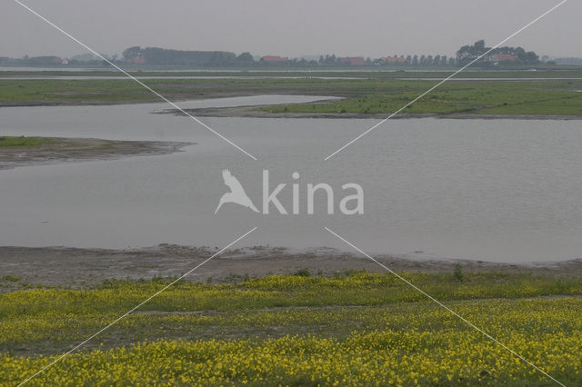 Nationaal Park Oosterschelde