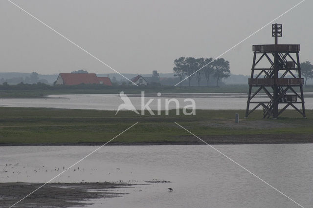 Nationaal Park Oosterschelde