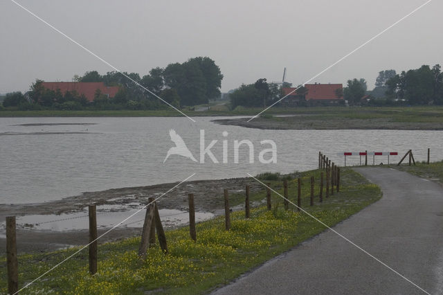 National Park Oosterschelde