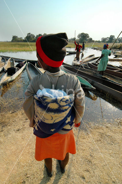 Okavango delta