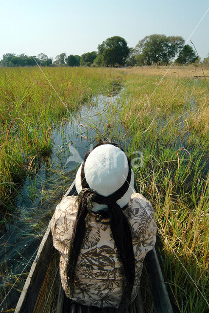 Okavango delta