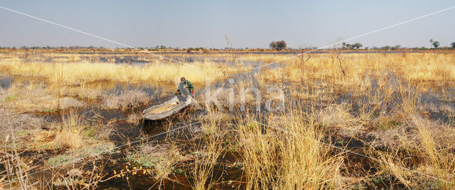 Okavango delta