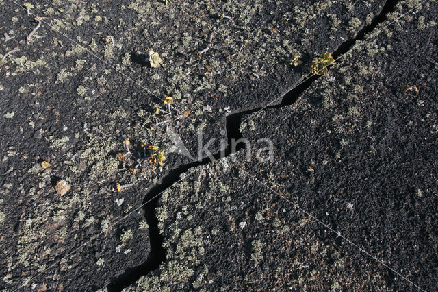 Parque Natural De Los Volcanes