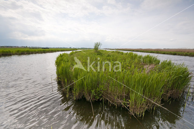 Polder Westzaan