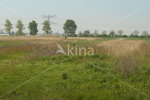 Polder Westzaan