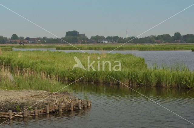 Polder Westzaan