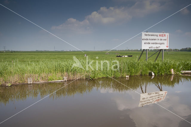 Polder Westzaan