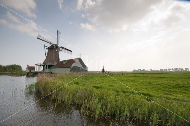 Polder Westzaan