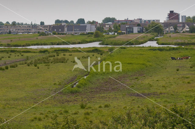 Polder Westzaan