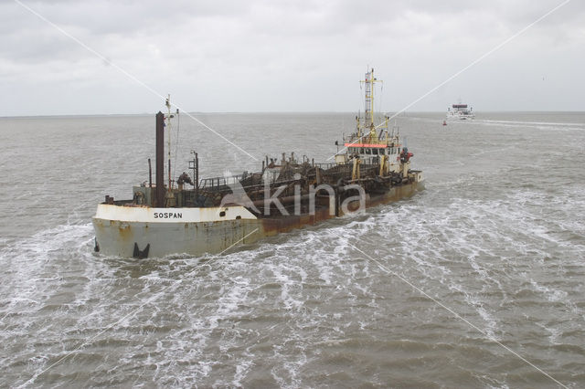 Waddensea