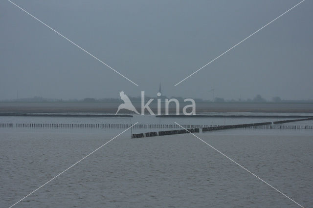 Waddenzee