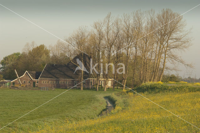 Wormer- en Jisperveld