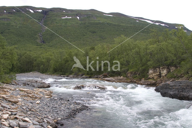 Abisko National Park