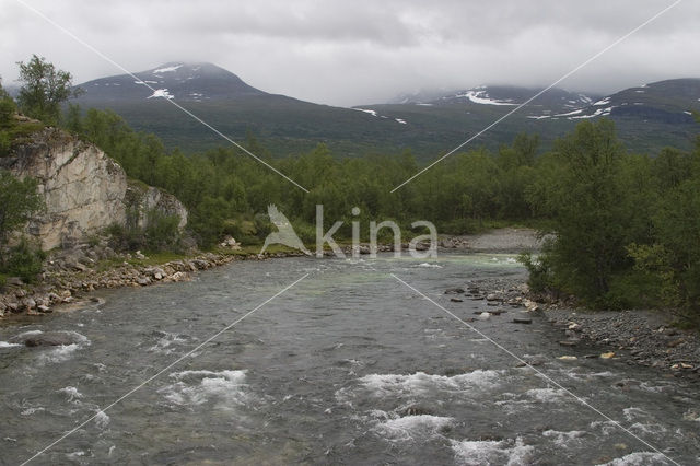 Abisko National Park