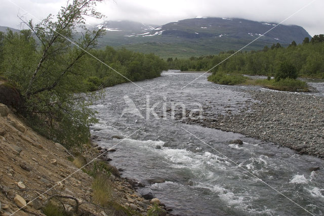 Abisko National Park