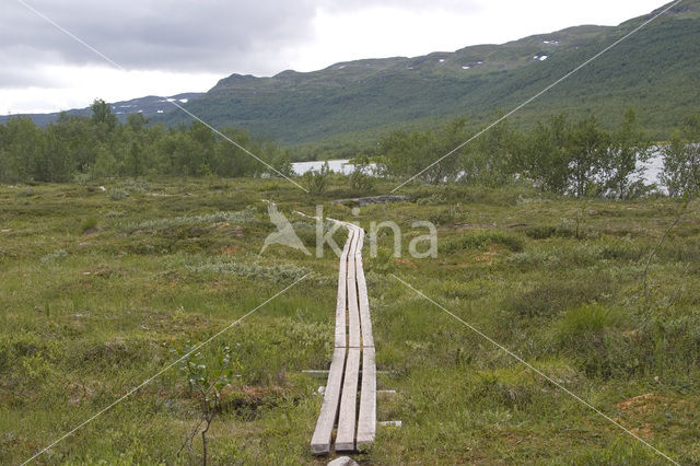 Abisko National Park