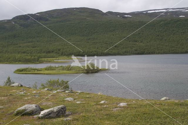 Abisko National Park