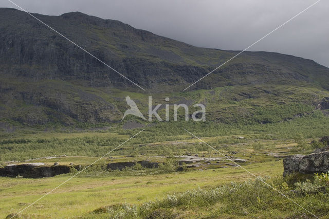 Abisko National Park