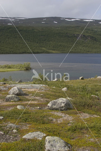 Abisko National Park