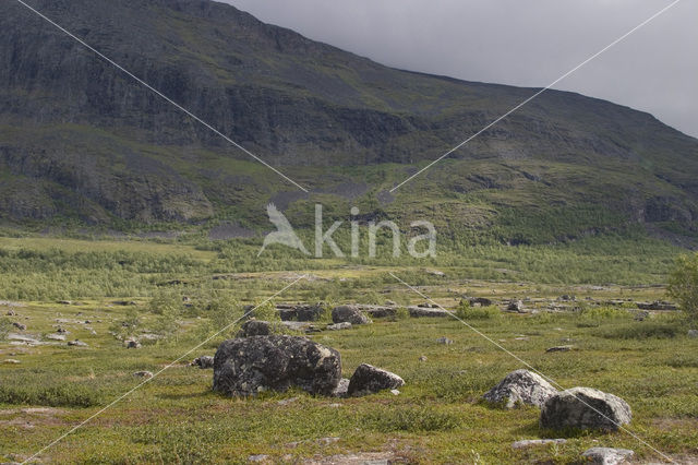 Abisko National Park