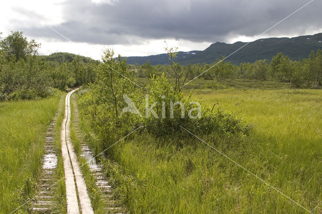 Abisko National Park