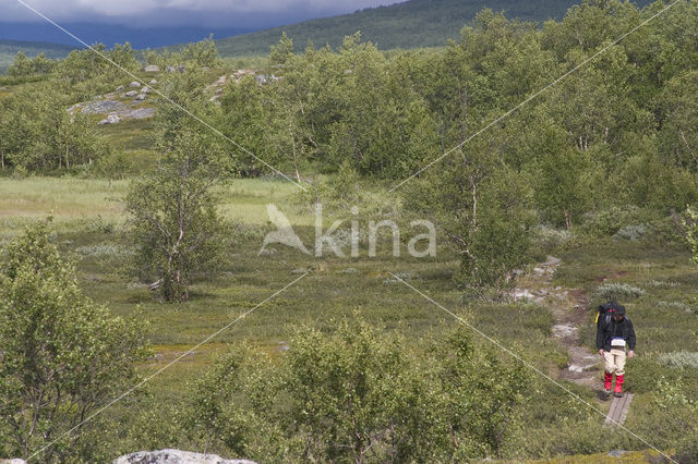 Abisko National Park