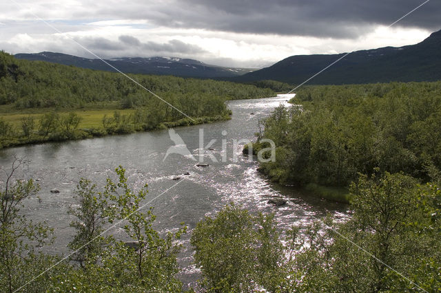 Abisko National Park