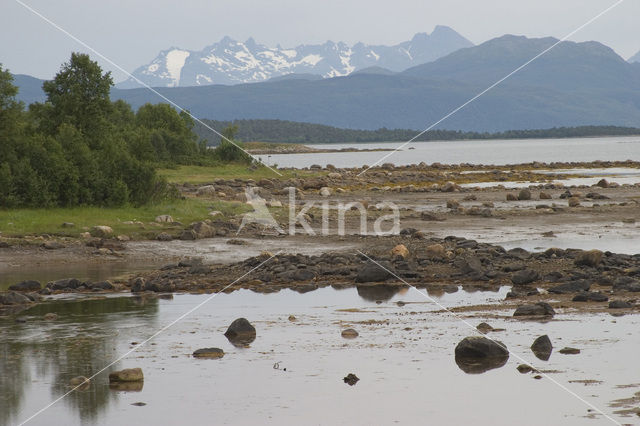 Anderdalen national park