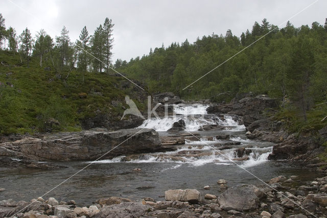 Anderdalen national park