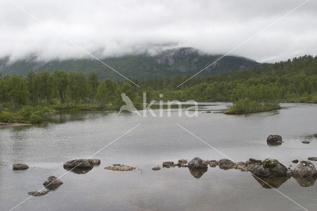 Anderdalen national park