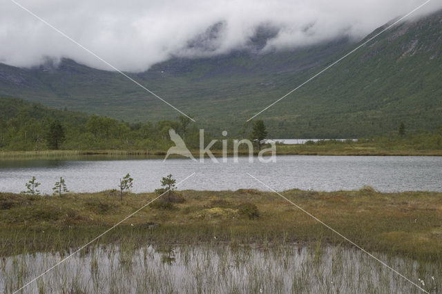 Anderdalen national park