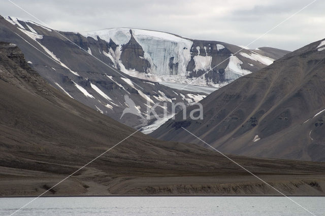 Billefjord