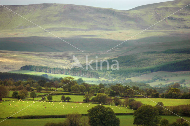 Brecon Beacons National Park