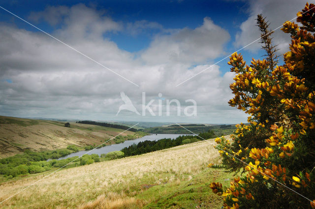 Brecon Beacons National Park