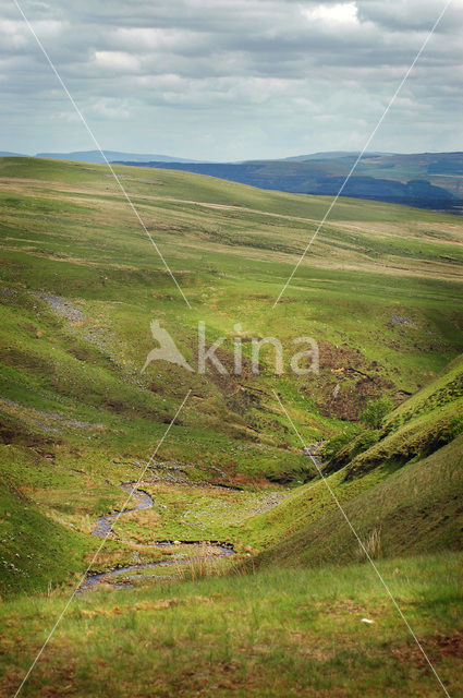 Cambrian Mountains