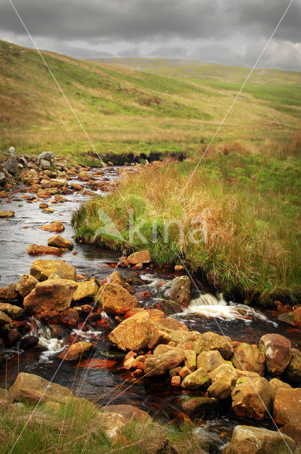 Cambrian Mountains