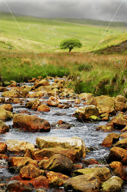 Cambrian Mountains